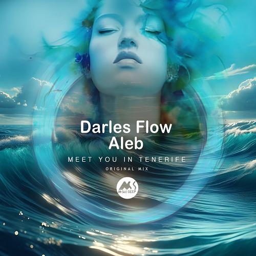 Darles Flow, Aleb - Meet You in Tenerife [MSD249]